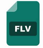 flv flv