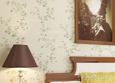 墙纸 墙纸