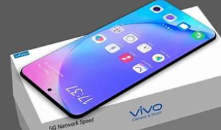 vivo vivo